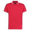 Tipped Collar Polo Classic Fit