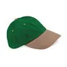 Lowprofile Heavy Brushed Cotton Cap
