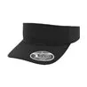 110 Visor 8110