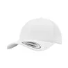 Curved Classic Snapback 77067706