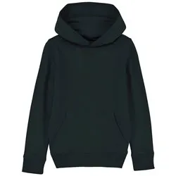 Kids Mini Cruiser Iconic Hoodie Sweatshirt Stsk911