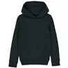 Kids Mini Cruiser Iconic Hoodie Sweatshirt Stsk911