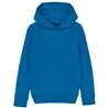 Kids Mini Cruiser Iconic Hoodie Sweatshirt Stsk911