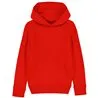 Kids Mini Cruiser Iconic Hoodie Sweatshirt Stsk911