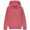 Kids Mini Cruiser Iconic Hoodie Sweatshirt Stsk911