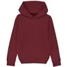 Kids Mini Cruiser Iconic Hoodie Sweatshirt Stsk911