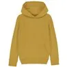 Kids Mini Cruiser Iconic Hoodie Sweatshirt Stsk911