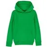 Kids Mini Cruiser Iconic Hoodie Sweatshirt Stsk911