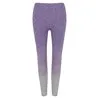 Womens Seamless Fade Out Leggings