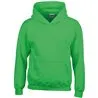 Heavy Blend Youth Hooded Sweatshirt