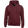 Heavy Blend Youth Hooded Sweatshirt