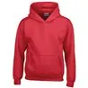 Heavy Blend Youth Hooded Sweatshirt