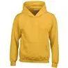 Heavy Blend Youth Hooded Sweatshirt