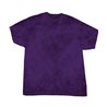 Mineral Wash T