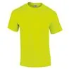 Ultra Cotton Adult Tshirt