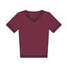 Stanley Presenter Vneck Tshirt Sttm562