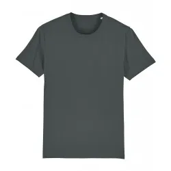 Unisex Creator Iconic Tshirt Sttu755