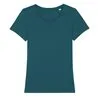 Womens Stella Expresser Iconic Fitted Tshirt Sttw032