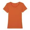 Womens Stella Expresser Iconic Fitted Tshirt Sttw032
