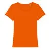 Womens Stella Expresser Iconic Fitted Tshirt Sttw032