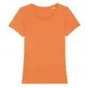 Womens Stella Expresser Iconic Fitted Tshirt Sttw032