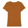Womens Stella Expresser Iconic Fitted Tshirt Sttw032