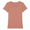 Womens Stella Expresser Iconic Fitted Tshirt Sttw032