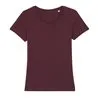 Womens Stella Expresser Iconic Fitted Tshirt Sttw032