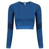 Womens Seamless Panelled Long Sleeve Crop Top