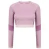 Womens Seamless Panelled Long Sleeve Crop Top