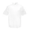 Oxford Short Sleeve Shirt