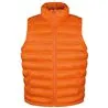 Ice Bird Padded Gilet