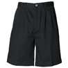 Tefloncoated Double Pleat Front Chino Shorts