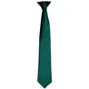 Colours Satin Clip Tie