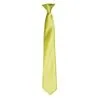 Colours Satin Clip Tie