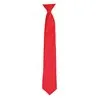 Colours Satin Clip Tie