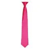 Colours Satin Clip Tie