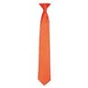Colours Satin Clip Tie