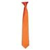 Colours Satin Clip Tie
