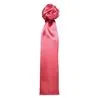 Scarf Plain