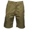 Heroic Cargo Shorts