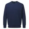Anthem Sweatshirt