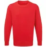 Anthem Sweatshirt