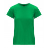 Softstyleô Midweight Womenís T-Shirt