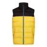 Vintage Puffer Vest