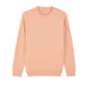 Unisex Changer Iconic Crew Neck Sweatshirt (Stsu823)