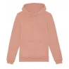 Cruiser Vintage Terry Hoodie Sweatshirt (Stsu853)