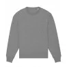 Radder Oversized Brushed Crewneck (Stsu857)