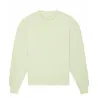 Radder Oversized Brushed Crewneck (Stsu857)