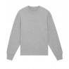 Radder Heavy Unisex Crewneck Sweatshirt (Stsu866)